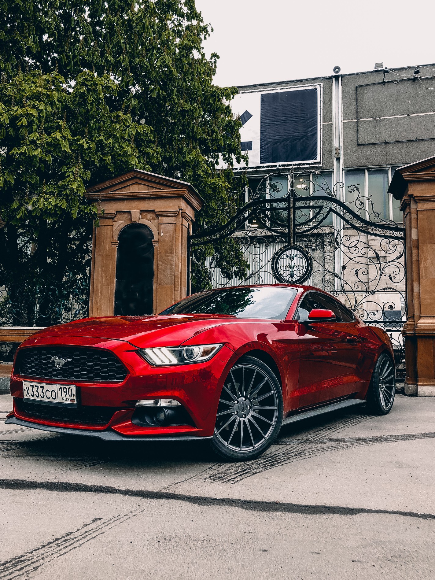 red-mustang